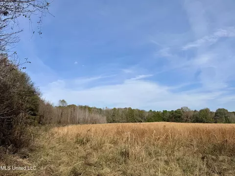 0000 Pisgah Bottom Rd, Canton, MS 39046 photo 3