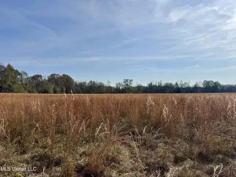 0000 Pisgah Bottom Rd, Canton, MS 39046 photo 11