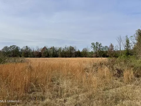 0000 Pisgah Bottom Rd, Canton, MS 39046 photo 17