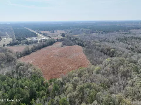 0000 Pisgah Bottom Rd, Canton, MS 39046 photo 13