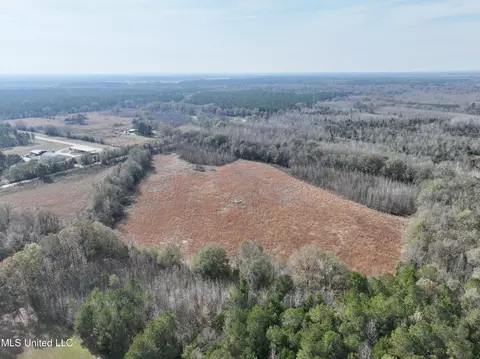 0000 Pisgah Bottom Rd, Canton, MS 39046 photo 16