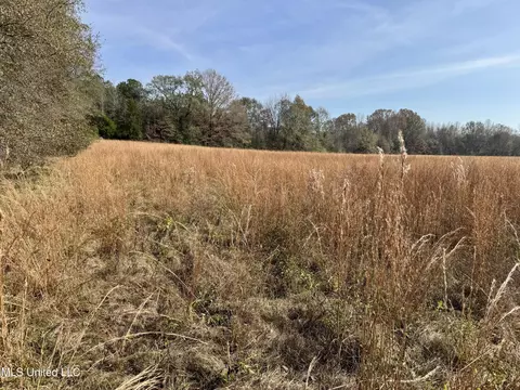 0000 Pisgah Bottom Rd, Canton, MS 39046 photo 12