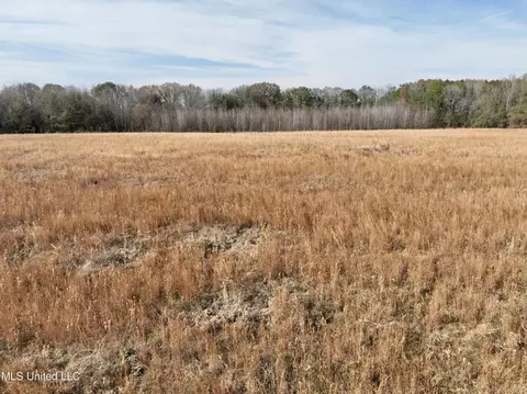 0000 Pisgah Bottom Rd, Canton, MS 39046 photo 6