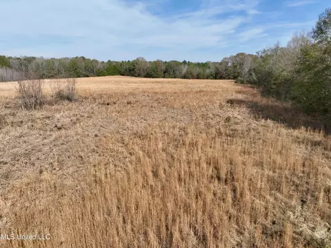0000 Pisgah Bottom Rd, Canton, MS 39046 photo 5