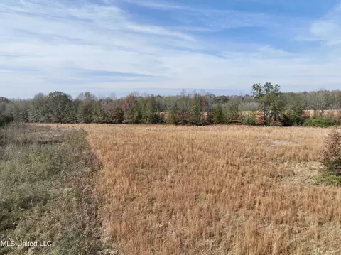 0000 Pisgah Bottom Rd, Canton, MS 39046 photo 18
