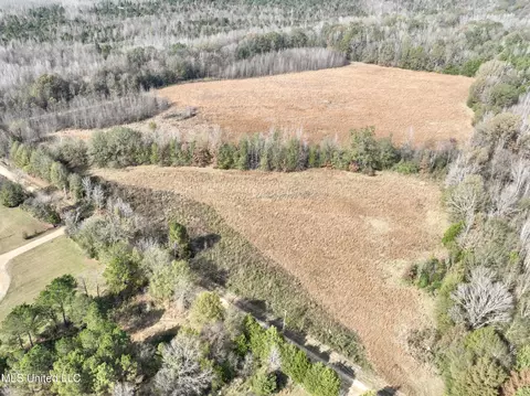 0000 Pisgah Bottom Rd, Canton, MS 39046 photo 4