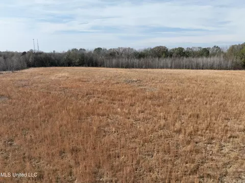 0000 Pisgah Bottom Rd, Canton, MS 39046 photo 8