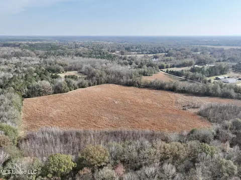 0000 Pisgah Bottom Rd, Canton, MS 39046 photo 10