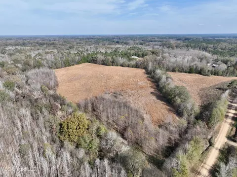 0000 Pisgah Bottom Rd, Canton, MS 39046 photo 7
