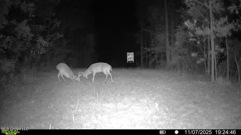 773 Permenter Rd, Camden, MS 39045 photo 48