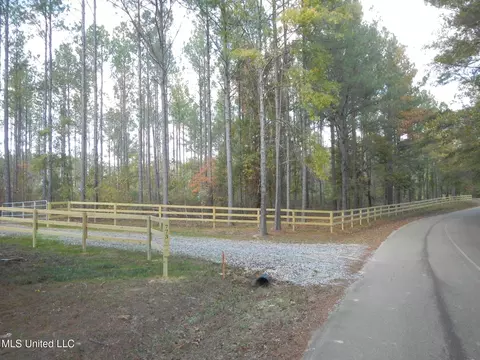 773 Permenter Rd, Camden, MS 39045 photo 11