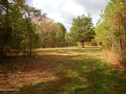 773 Permenter Rd, Camden, MS 39045 photo 17