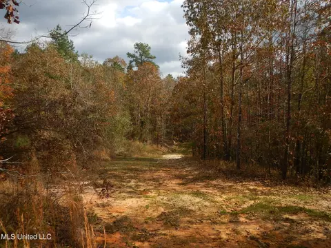 773 Permenter Rd, Camden, MS 39045 photo 20