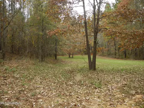 773 Permenter Rd, Camden, MS 39045 photo 34