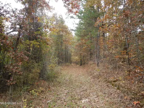 773 Permenter Rd, Camden, MS 39045 photo 24