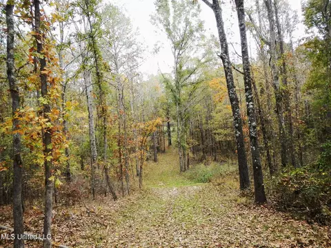 773 Permenter Rd, Camden, MS 39045 photo 32
