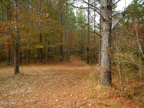 773 Permenter Rd, Camden, MS 39045 photo 29