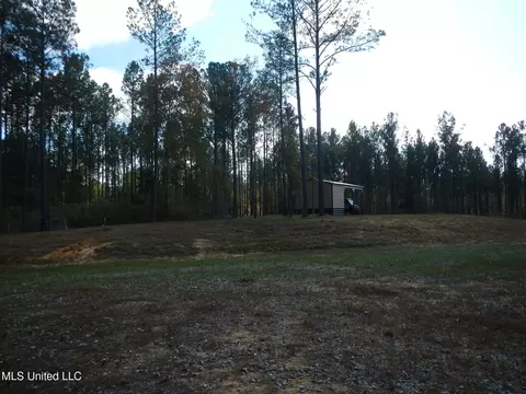 773 Permenter Rd, Camden, MS 39045 photo 10