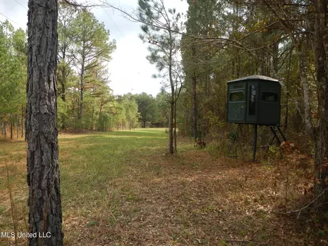 773 Permenter Rd, Camden, MS 39045 photo 18