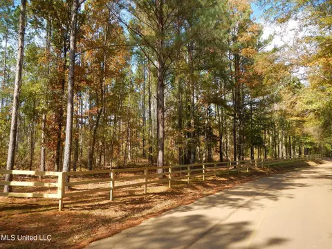 773 Permenter Rd, Camden, MS 39045 photo 5