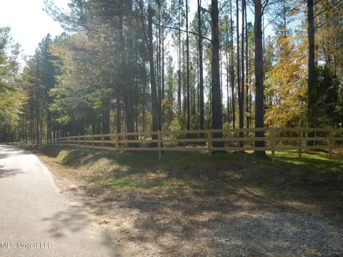 773 Permenter Rd, Camden, MS 39045 photo 7