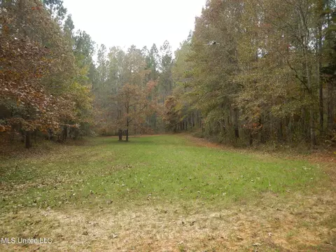 773 Permenter Rd, Camden, MS 39045 photo 35