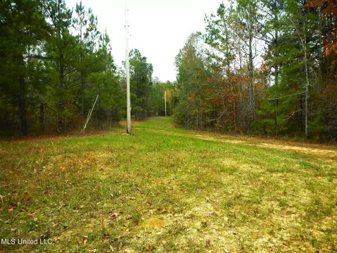 773 Permenter Rd, Camden, MS 39045 photo 33