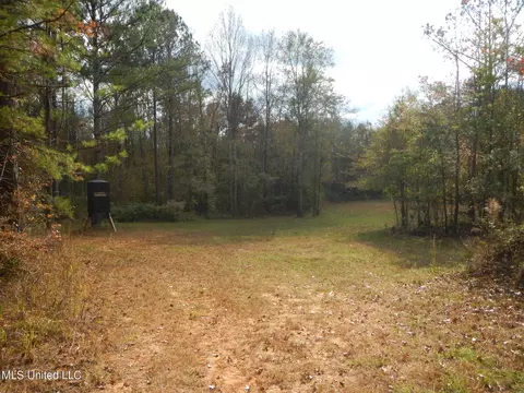 773 Permenter Rd, Camden, MS 39045 photo 14