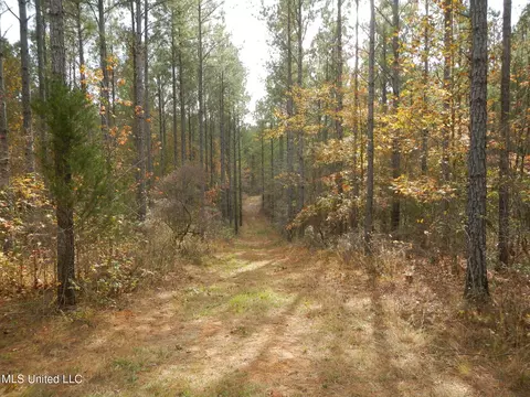 773 Permenter Rd, Camden, MS 39045 photo 38
