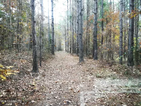 773 Permenter Rd, Camden, MS 39045 photo 25