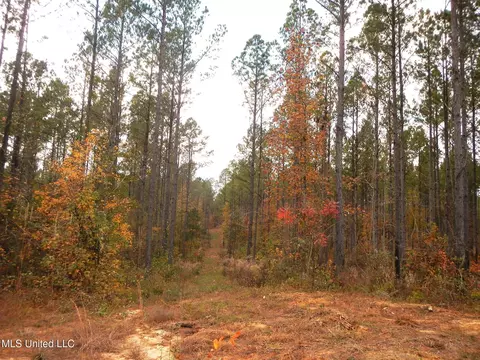 773 Permenter Rd, Camden, MS 39045 photo 36