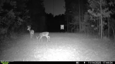773 Permenter Rd, Camden, MS 39045 photo 44