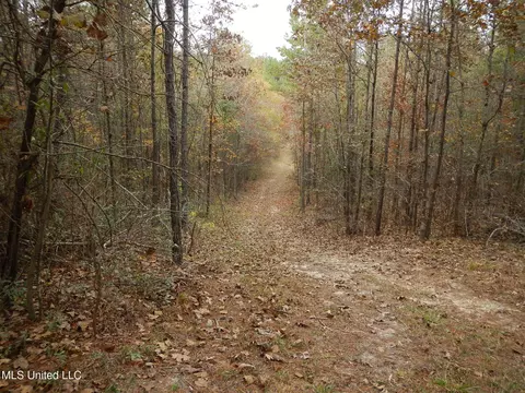 773 Permenter Rd, Camden, MS 39045 photo 30