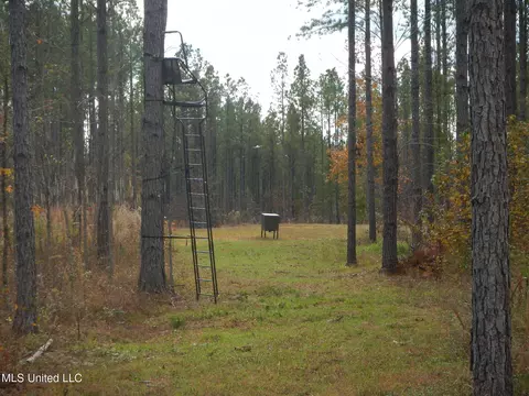 773 Permenter Rd, Camden, MS 39045 photo 13
