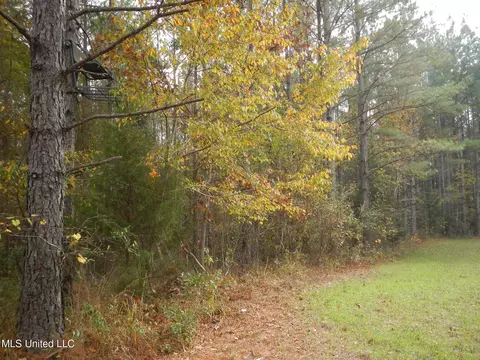 773 Permenter Rd, Camden, MS 39045 photo 26