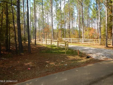 773 Permenter Rd, Camden, MS 39045 photo 3