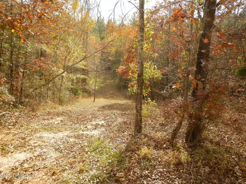 773 Permenter Rd, Camden, MS 39045 photo 21