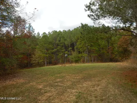773 Permenter Rd, Camden, MS 39045 photo 22