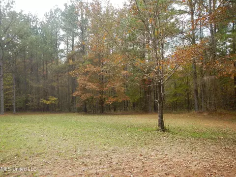 773 Permenter Rd, Camden, MS 39045 photo 28