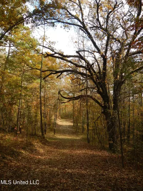 773 Permenter Rd, Camden, MS 39045 photo 19