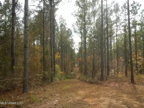773 Permenter Rd, Camden, MS 39045 photo 37