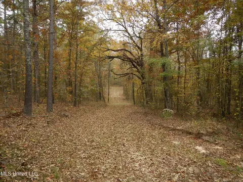 773 Permenter Rd, Camden, MS 39045 photo 31