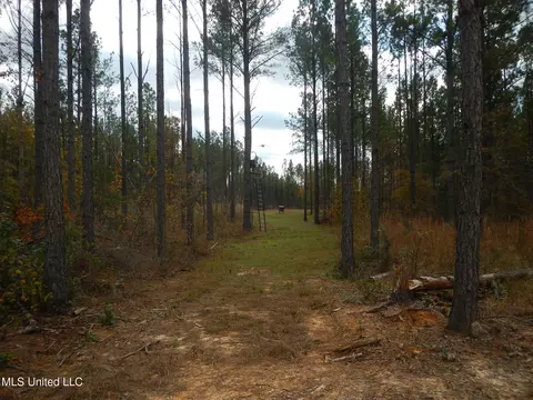 773 Permenter Rd, Camden, MS 39045 photo 12