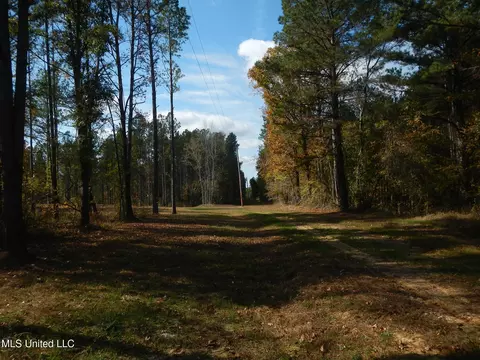 773 Permenter Rd, Camden, MS 39045 photo 9
