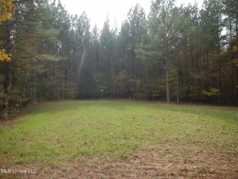 773 Permenter Rd, Camden, MS 39045 photo 27