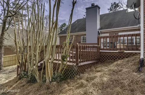 340 Willow Ridge Cv, Brandon, MS 39047 photo 47