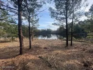 1043 Hwy 24 W, Mccomb, MS 39648