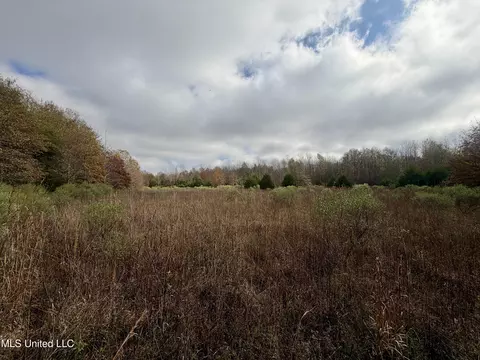 Fairview Road, Charleston, MS 38921