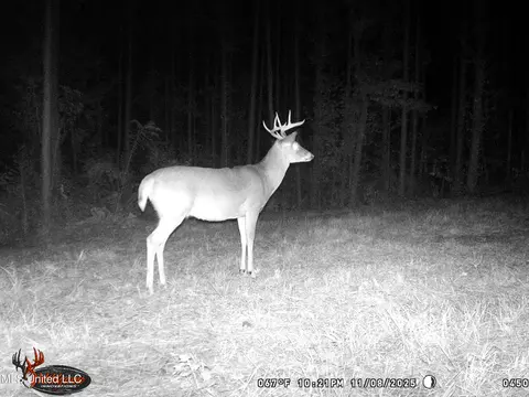 1 N Will Floyd Rd, Crosby, MS 39633 photo 26