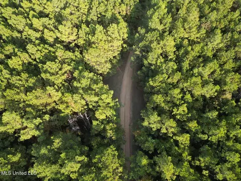1 N Will Floyd Rd, Crosby, MS 39633 photo 3